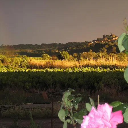 Petite Douillette Bed and Breakfast Saint-Pargoire