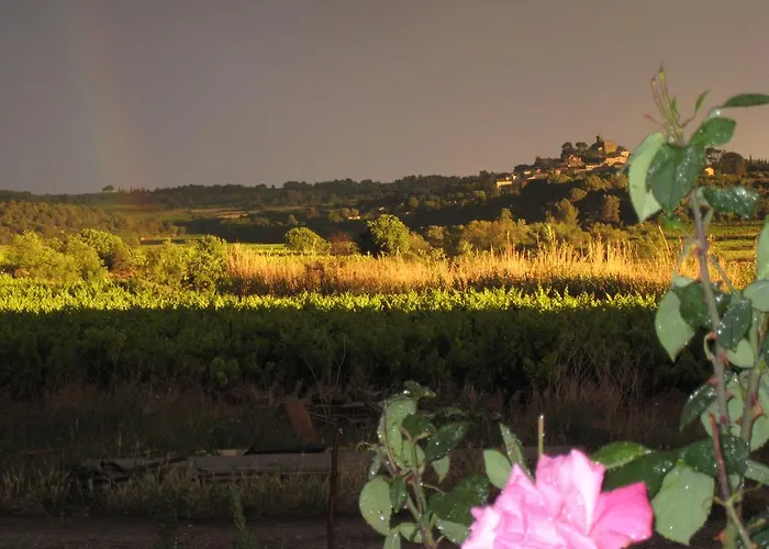 Petite Douillette Bed & Breakfast Saint-Pargoire